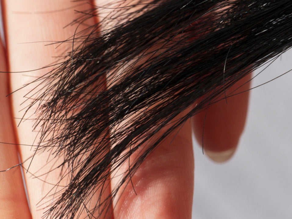 The Real Reason Your Hair Is Damaged (& What to Do About It)