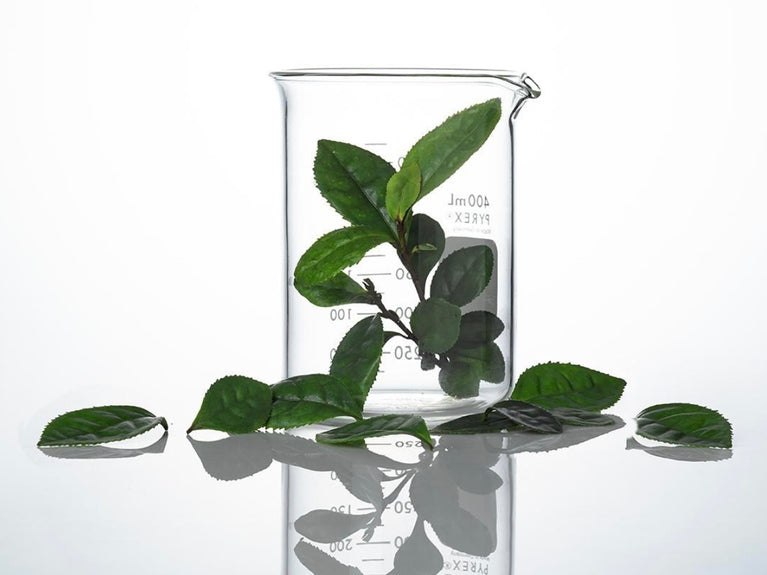 Image of beaker filled with leaves with leaves laying around the beaker