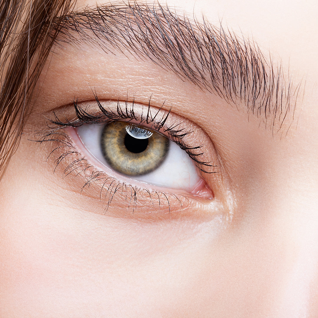 Image of woman's eye and beautiful bold eyebrow