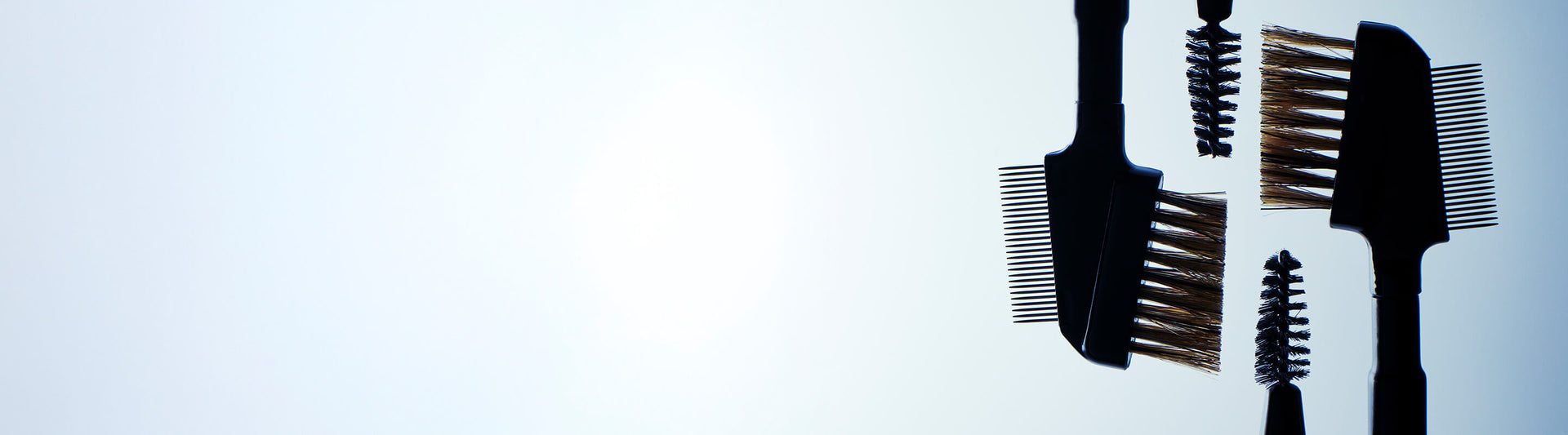 Lash & Brow Tool Makeup desktop banner